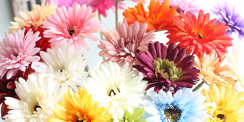 Colorful simulated gerbera for sale (5)