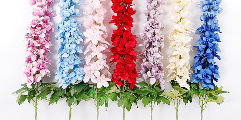 Extra large hyacinth manufacturer (7)