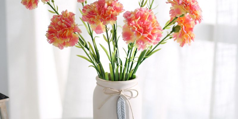 Long single carnation (1)