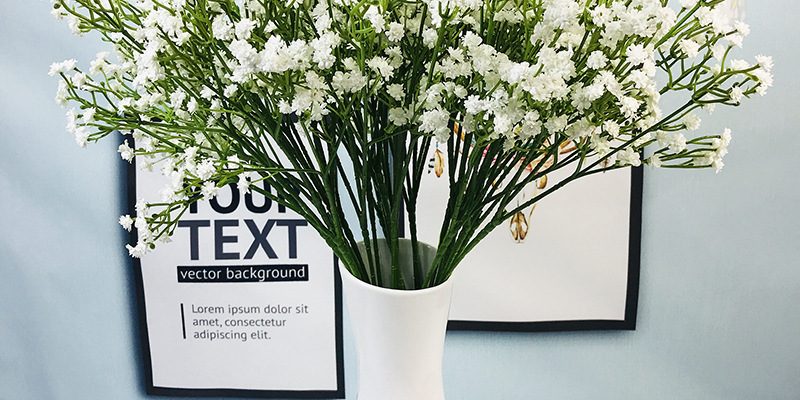 Single PU gypsophila supplier (3)