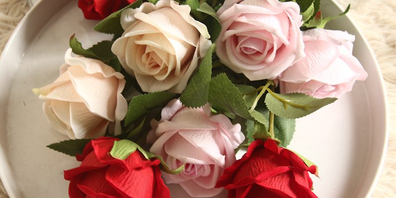 Single flannel rose wholesale (1)