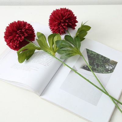 Color single chrysanthemum (3)