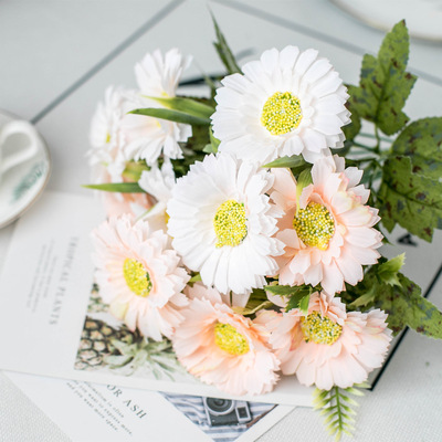 Bouquet of colored daisies (6)
