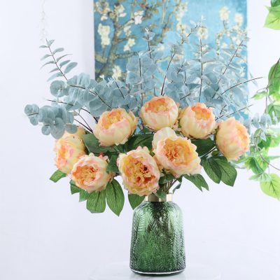 Single Gradient Peony (2)