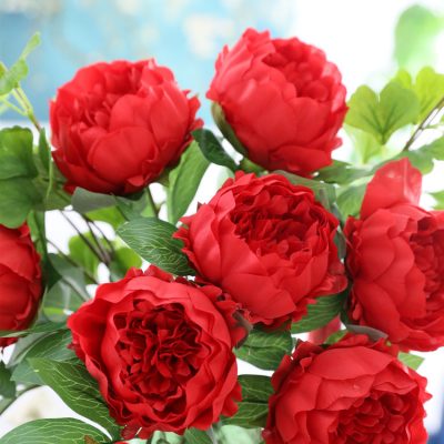 Single Gradient Peony (6)