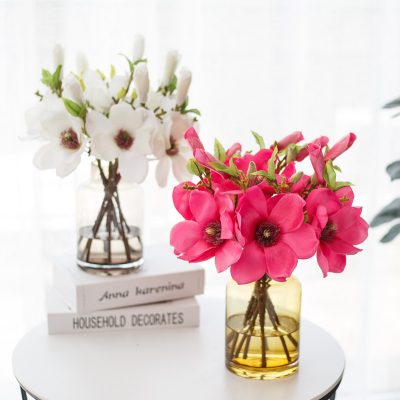 Single colored magnolia flower (3)