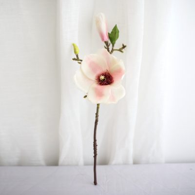 Single colored magnolia flower (6)