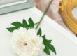Mini Artificial Carnation Stems for Vase Decoration