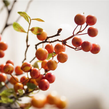 Artificial Red Fortune Berries for Table Decor and Home Ornament