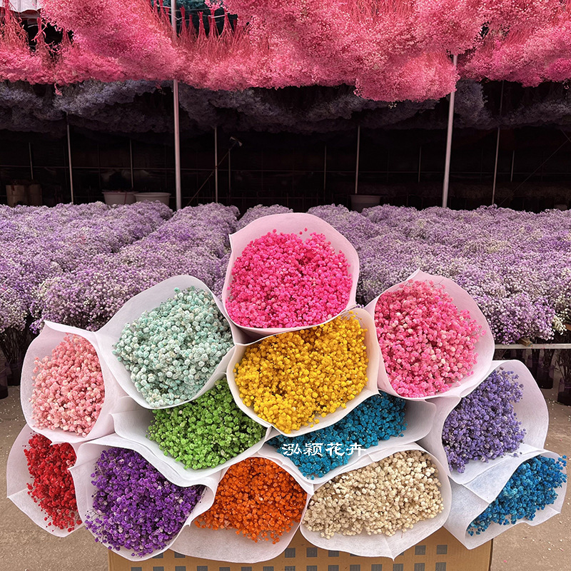Bulk Artificial Babysbreath Preserved Flower for Wedding and Crafts