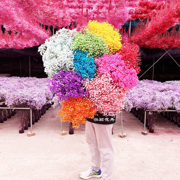 Bulk Artificial Babysbreath Preserved Flower for Wedding and Crafts