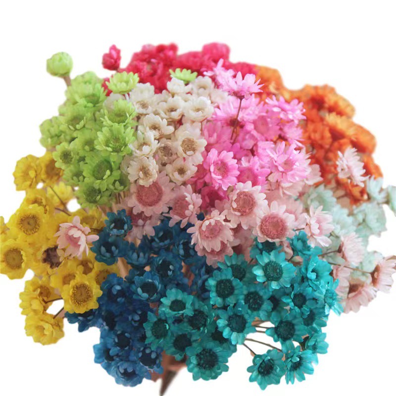 Mini Artificial Babysbreath Star Flower for DIY Floating Craft